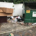 Eastshore Business Center Dumpster Clean Out 1