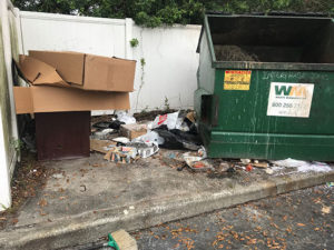 Eastshore Business Center Dumpster Clean Out 1