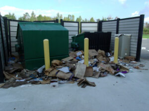 Pasco Power Center Tampa Dumpster Clean Out project 1