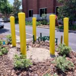 csg consolidated service groyp bollard install and tree removal 2